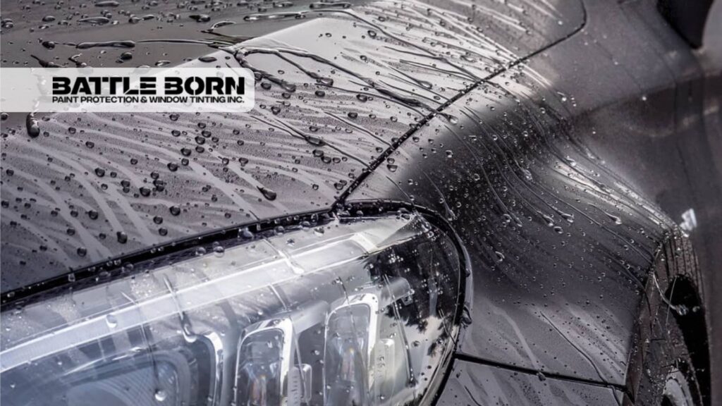 Water beads on the surface of a black car hood, showing strong hydrophobic protection.